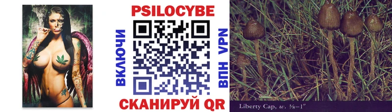 Псилоцибиновые грибы прущие грибы  купить   дарк нет клад  Заволжье 